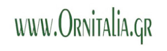 ornitalia